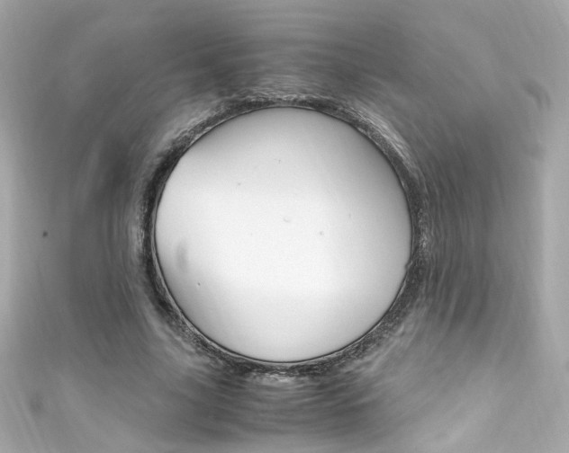 X0000111600635200907161214