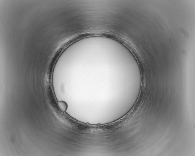X0000111600636200907161214