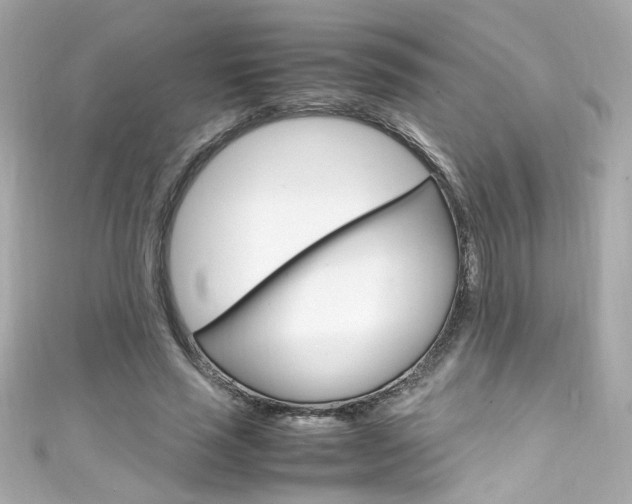 X0000111600637200907161214