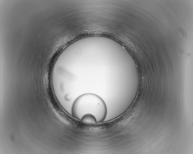 X0000111600638200907161214
