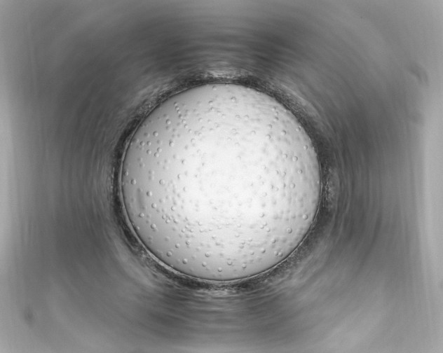X0000111600639200907161214
