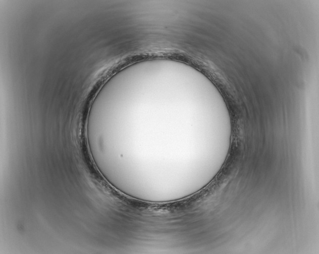 X0000111600640200907161214