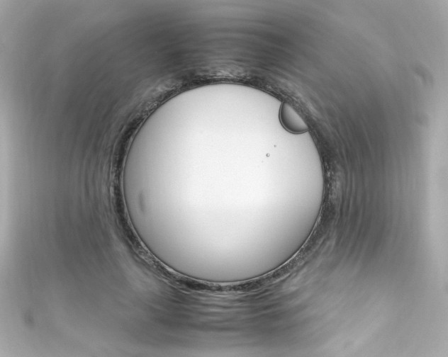 X0000111600643200907161214