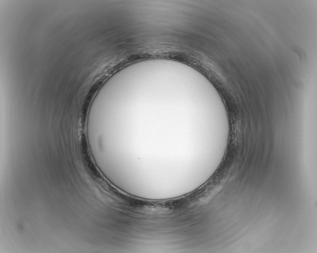 X0000111600644200907161214