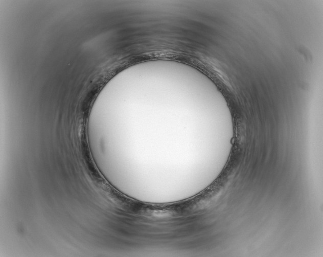X0000111600645200907161214