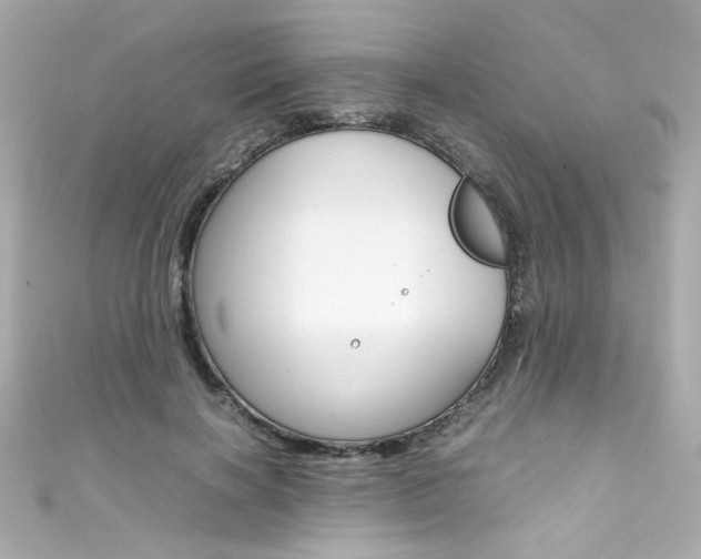 X0000111600646200907161214