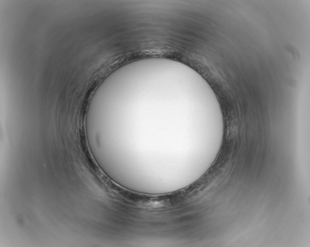 X0000111600647200907161214