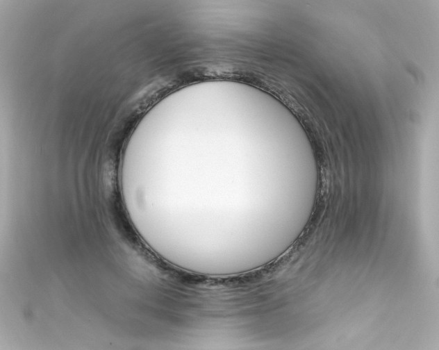 X0000111600648200907161214