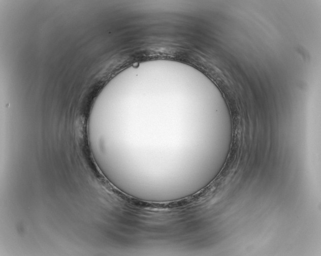 X0000111600649200907161215