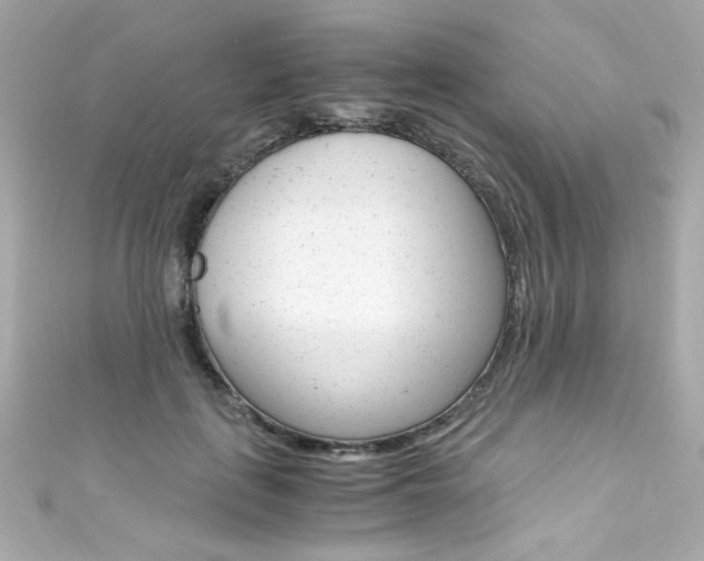 X0000111600651200907161215