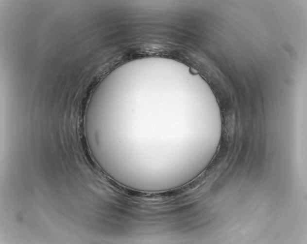 X0000111600653200907161215