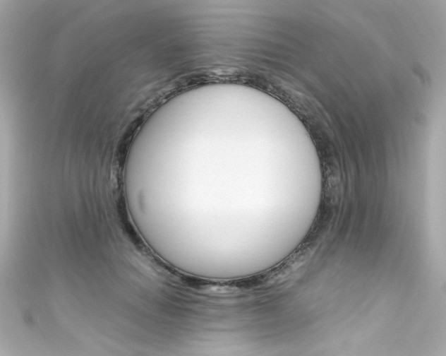 X0000111600654200907161215