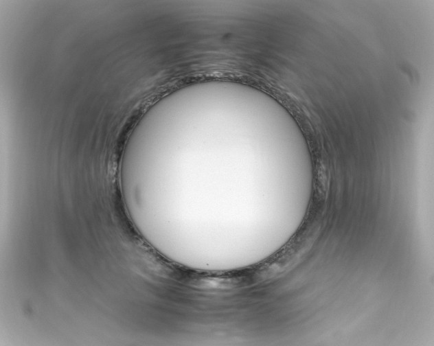X0000111600657200907161215