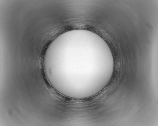 X0000111600658200907161215