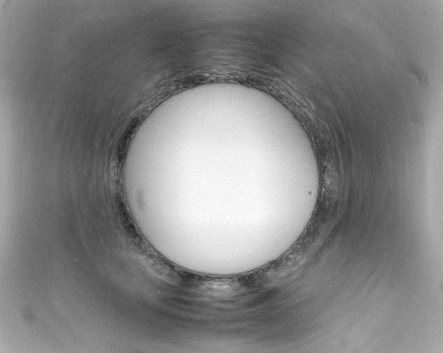 X0000111600659200907161215