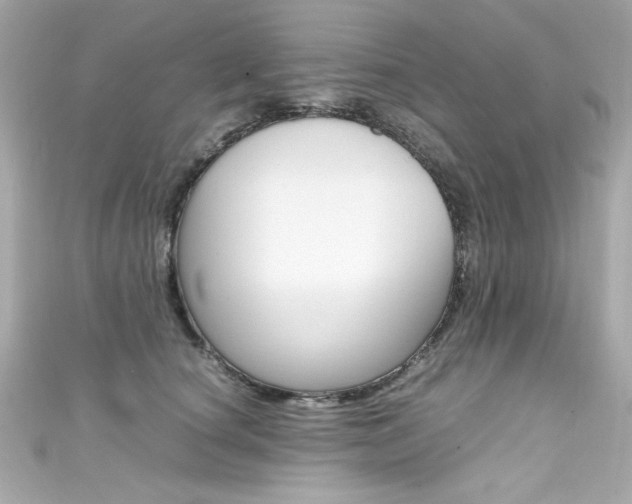 X0000111600660200907161215