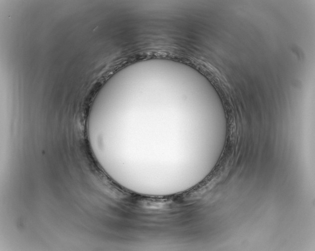 X0000111600661200907161215