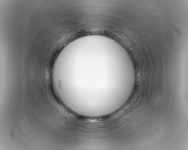 X0000111600662200907161215