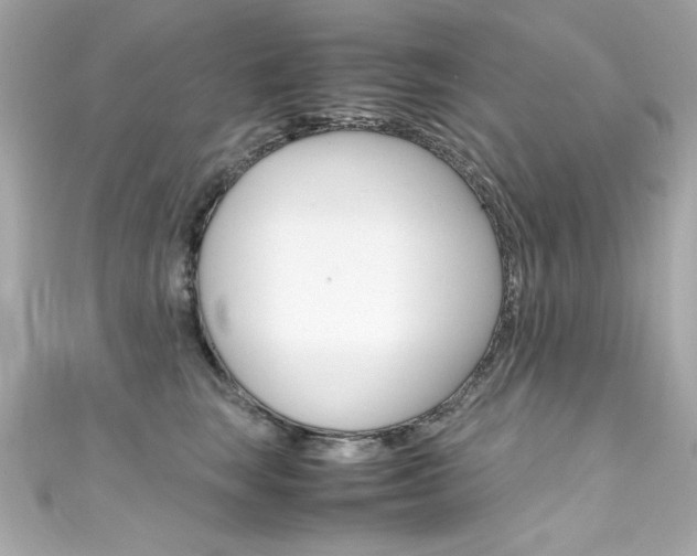 X0000111600663200907161215