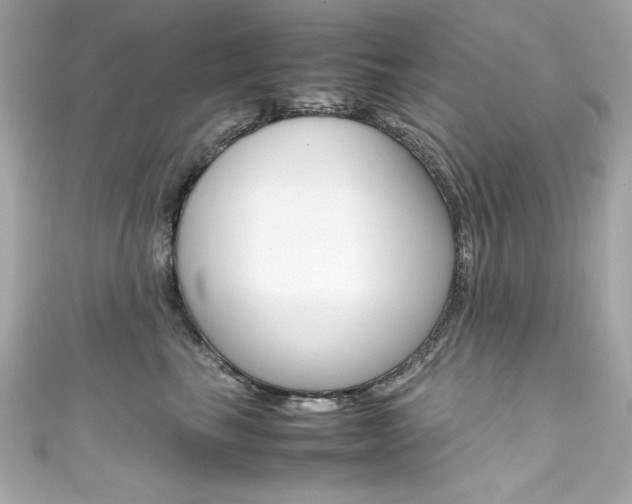 X0000111600665200907161215