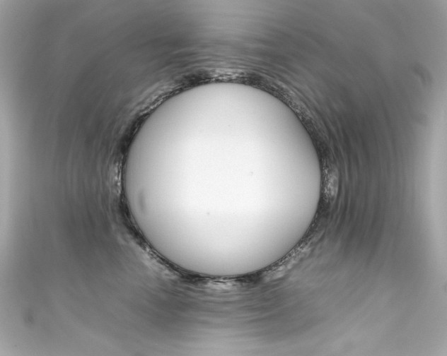 X0000111600666200907161215