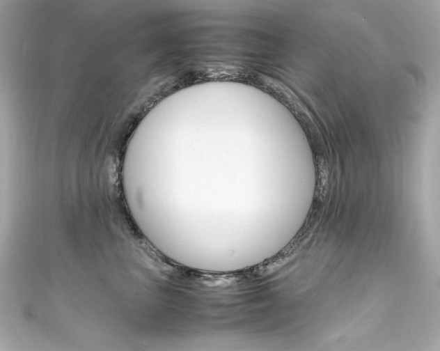 X0000111600667200907161215