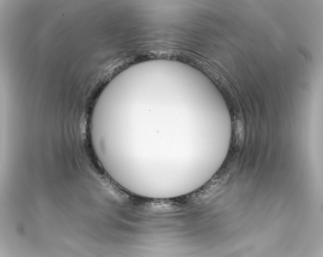 X0000111600668200907161215