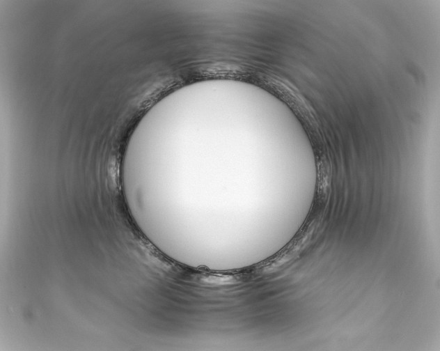 X0000111600669200907161215