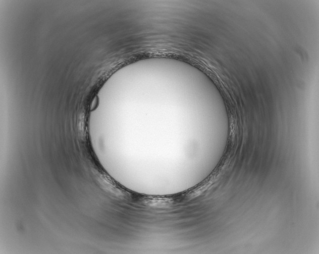 X0000111600670200907161215