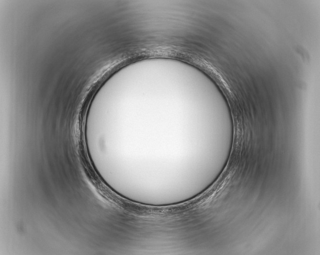 X0000111600674200907161214