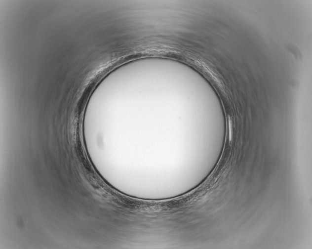 X0000111600675200907161214