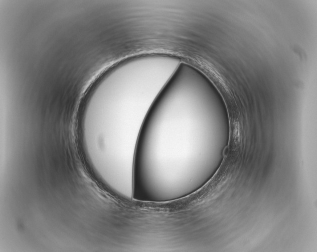 X0000111600676200907161214