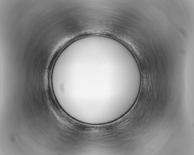 X0000111600678200907161214