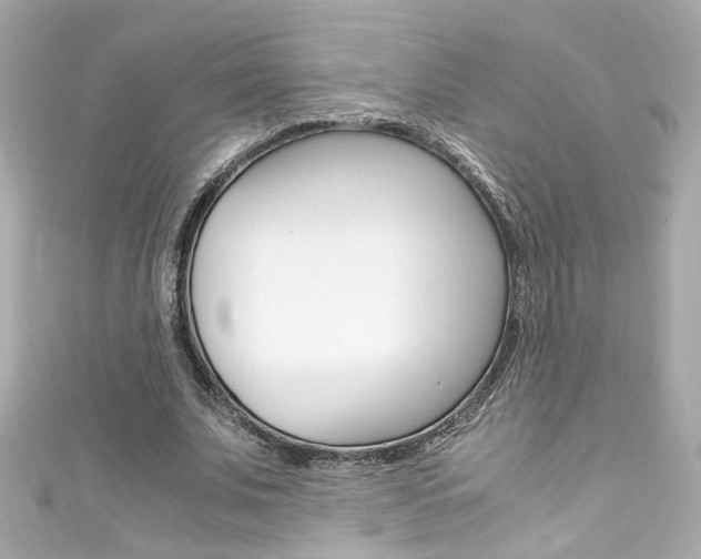X0000111600679200907161214