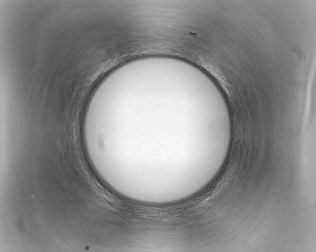 X0000111600681200907161214