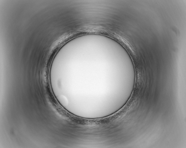X0000111600682200907161214