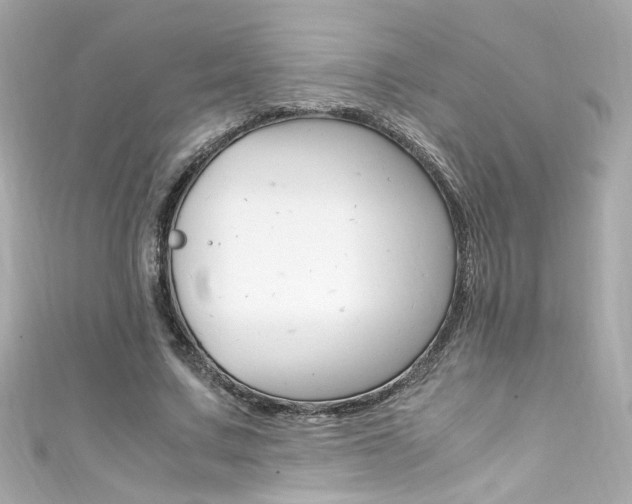 X0000111600683200907161214