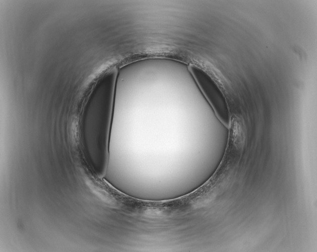 X0000111600684200907161214