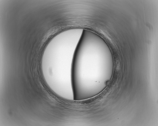 X0000111600685200907161214