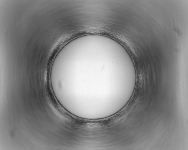 X0000111600686200907161214