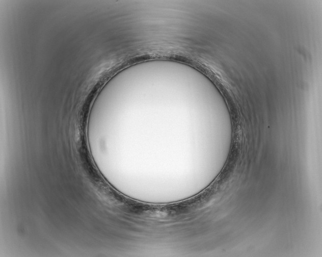 X0000111600687200907161214