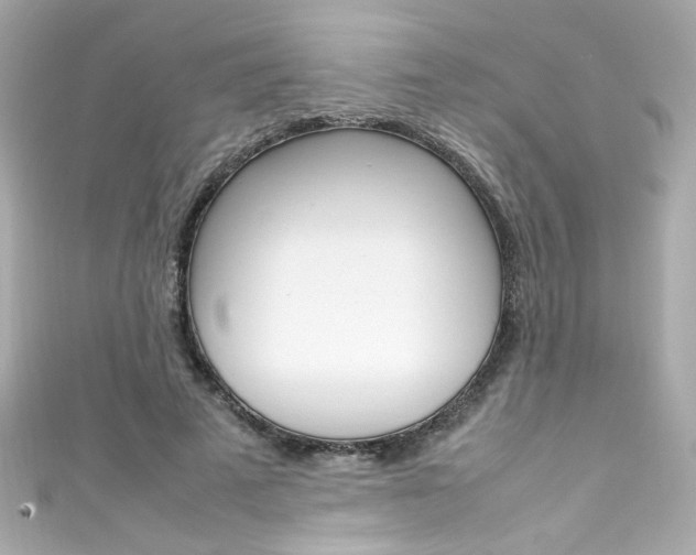 X0000111600689200907161214