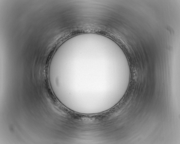 X0000111600690200907161214