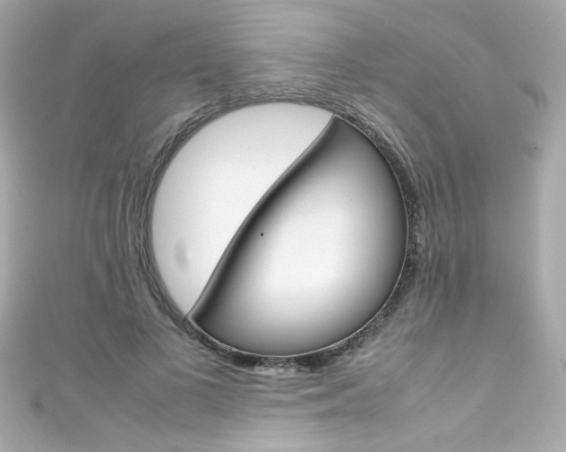 X0000111600693200907161214
