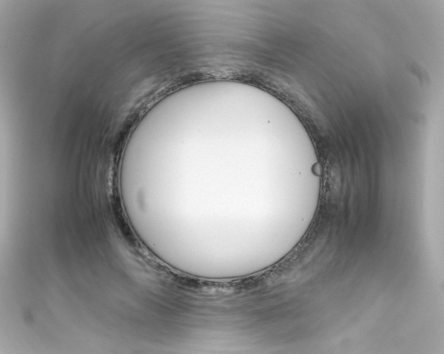 X0000111600694200907161214