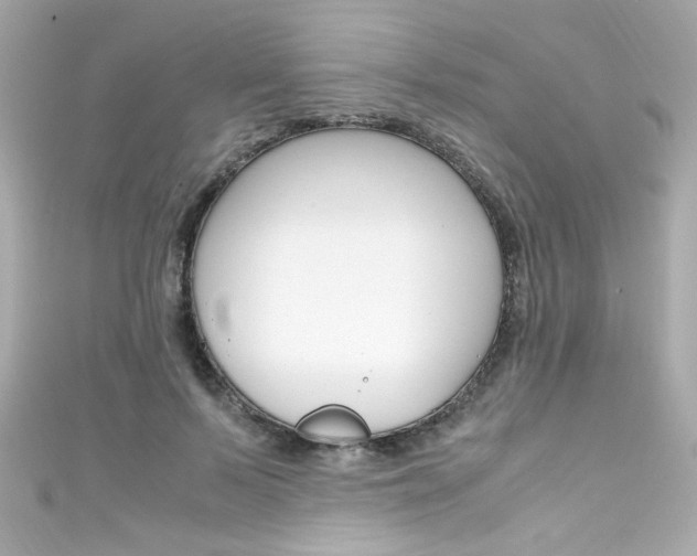 X0000111600695200907161214
