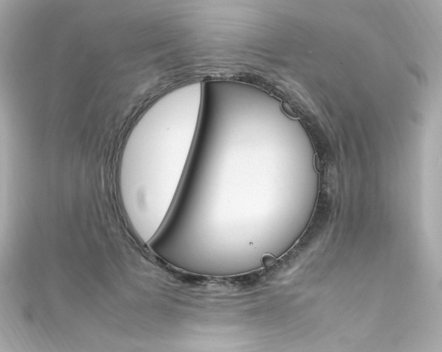 X0000111600697200907161214