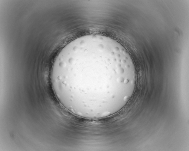 X0000111600698200907161214