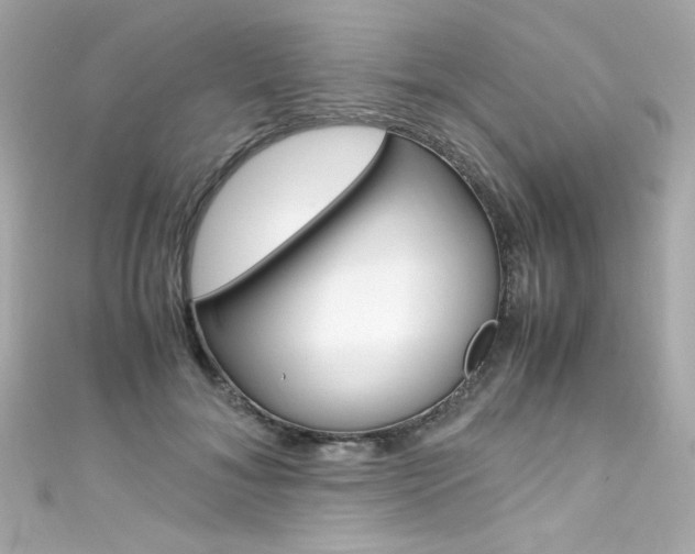 X0000111600700200907161214