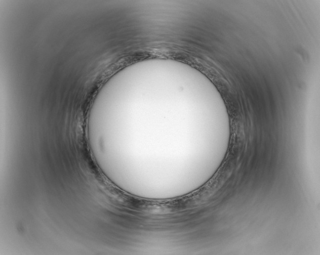 X0000111600702200907161214
